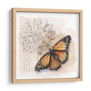 Caja De Sombra Mariposa I - Grace Popp | Cuadro decorativo de Canvas Lab