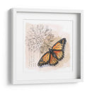 Caja De Sombra Mariposa I - Grace Popp | Cuadro decorativo de Canvas Lab