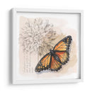 Caja De Sombra Mariposa I - Grace Popp | Cuadro decorativo de Canvas Lab