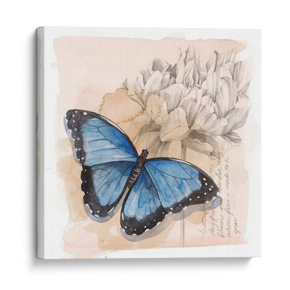 Caja De Sombra Mariposa Ii - Grace Popp | Cuadro decorativo de Canvas Lab