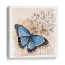 Caja De Sombra Mariposa Ii - Grace Popp | Cuadro decorativo de Canvas Lab