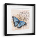 Caja De Sombra Mariposa Ii - Grace Popp | Cuadro decorativo de Canvas Lab