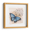 Caja De Sombra Mariposa Ii - Grace Popp | Cuadro decorativo de Canvas Lab