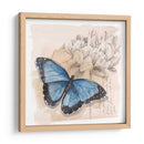 Caja De Sombra Mariposa Ii - Grace Popp | Cuadro decorativo de Canvas Lab