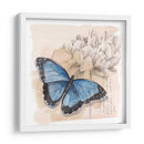 Caja De Sombra Mariposa Ii - Grace Popp | Cuadro decorativo de Canvas Lab