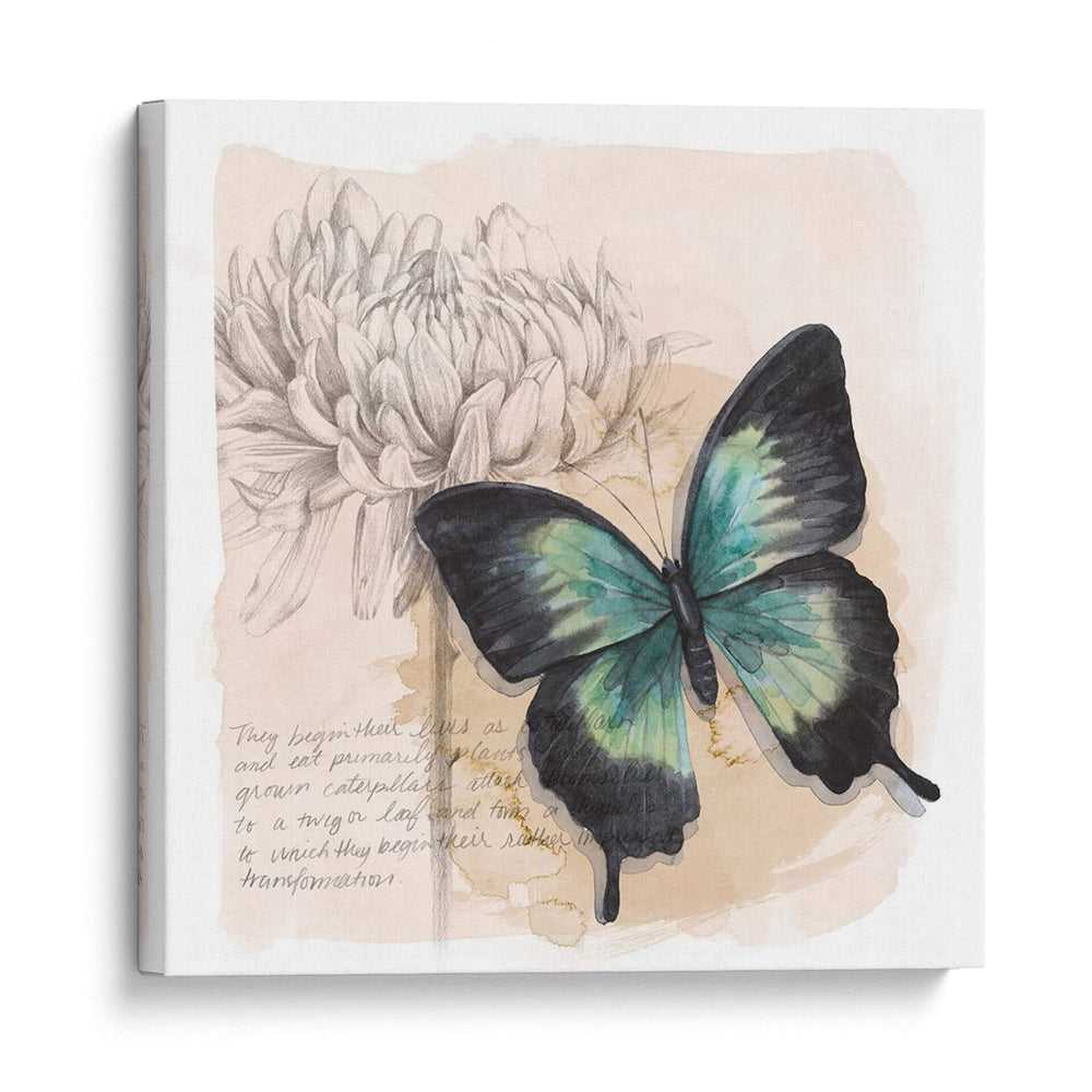 Caja De Sombra Mariposa Iii - Grace Popp | Cuadro decorativo de Canvas Lab