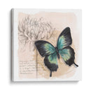 Caja De Sombra Mariposa Iii - Grace Popp | Cuadro decorativo de Canvas Lab