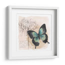 Caja De Sombra Mariposa Iii - Grace Popp | Cuadro decorativo de Canvas Lab