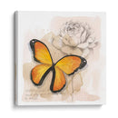 Caja De Sombra Mariposa Iv - Grace Popp | Cuadro decorativo de Canvas Lab