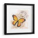 Caja De Sombra Mariposa Iv - Grace Popp | Cuadro decorativo de Canvas Lab