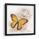 Caja De Sombra Mariposa Iv - Grace Popp | Cuadro decorativo de Canvas Lab