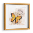 Caja De Sombra Mariposa Iv - Grace Popp | Cuadro decorativo de Canvas Lab