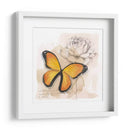 Caja De Sombra Mariposa Iv - Grace Popp | Cuadro decorativo de Canvas Lab