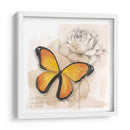 Caja De Sombra Mariposa Iv - Grace Popp | Cuadro decorativo de Canvas Lab