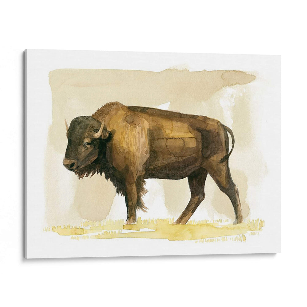Bison Acuarela Sketch Ii - Grace Popp | Cuadro decorativo de Canvas Lab