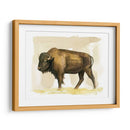 Bison Acuarela Sketch Ii - Grace Popp | Cuadro decorativo de Canvas Lab