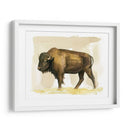 Bison Acuarela Sketch Ii - Grace Popp | Cuadro decorativo de Canvas Lab