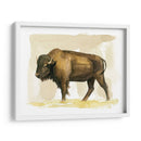 Bison Acuarela Sketch Ii - Grace Popp | Cuadro decorativo de Canvas Lab