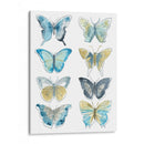 Butterfly Blues Ii - June Erica Vess | Cuadro decorativo de Canvas Lab