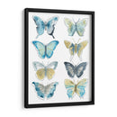 Butterfly Blues Ii - June Erica Vess | Cuadro decorativo de Canvas Lab