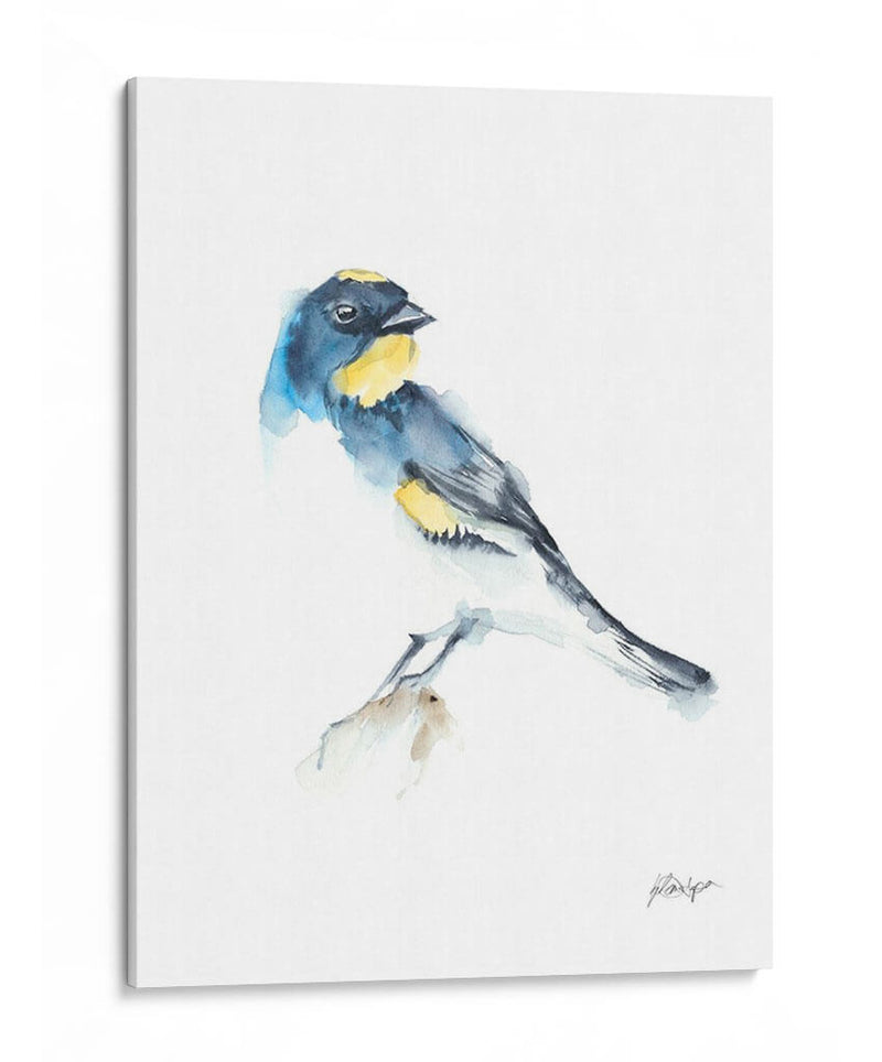 Acuarela Songbirds Iii - Ethan Harper | Cuadro decorativo de Canvas Lab