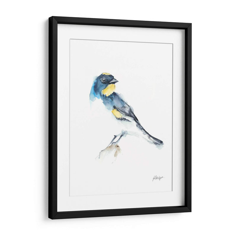 Acuarela Songbirds Iii - Ethan Harper | Cuadro decorativo de Canvas Lab