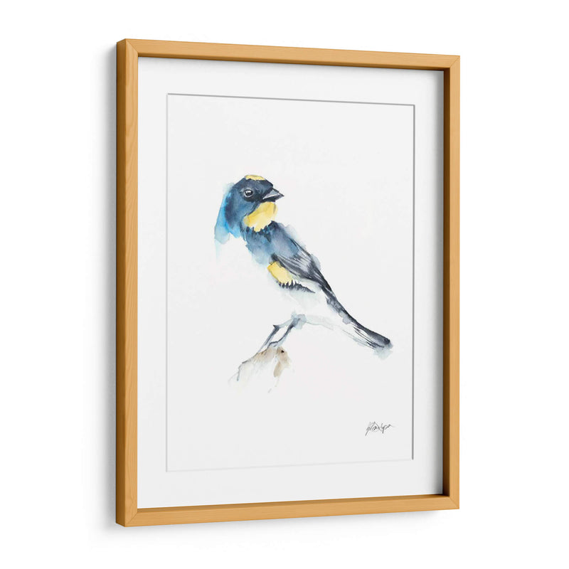 Acuarela Songbirds Iii - Ethan Harper | Cuadro decorativo de Canvas Lab