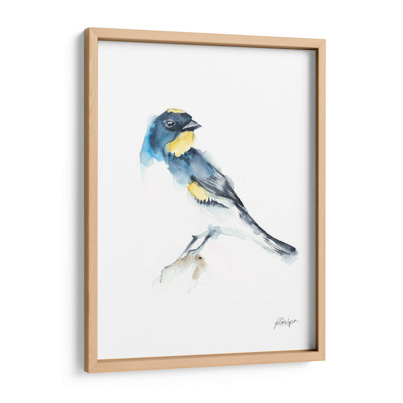 Acuarela Songbirds Iii - Ethan Harper | Cuadro decorativo de Canvas Lab