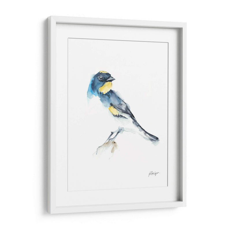 Acuarela Songbirds Iii - Ethan Harper | Cuadro decorativo de Canvas Lab