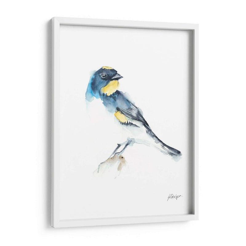 Acuarela Songbirds Iii - Ethan Harper | Cuadro decorativo de Canvas Lab