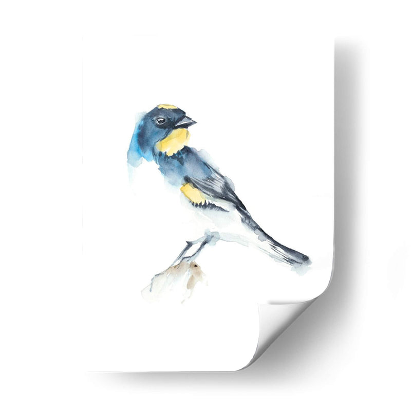 Acuarela Songbirds Iii - Ethan Harper | Cuadro decorativo de Canvas Lab