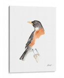 Acuarela Songbirds Iv - Ethan Harper | Cuadro decorativo de Canvas Lab