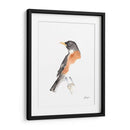 Acuarela Songbirds Iv - Ethan Harper | Cuadro decorativo de Canvas Lab