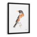 Acuarela Songbirds Iv - Ethan Harper | Cuadro decorativo de Canvas Lab