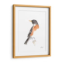 Acuarela Songbirds Iv - Ethan Harper | Cuadro decorativo de Canvas Lab