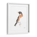 Acuarela Songbirds Iv - Ethan Harper | Cuadro decorativo de Canvas Lab