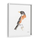 Acuarela Songbirds Iv - Ethan Harper | Cuadro decorativo de Canvas Lab