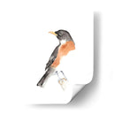 Acuarela Songbirds Iv - Ethan Harper | Cuadro decorativo de Canvas Lab