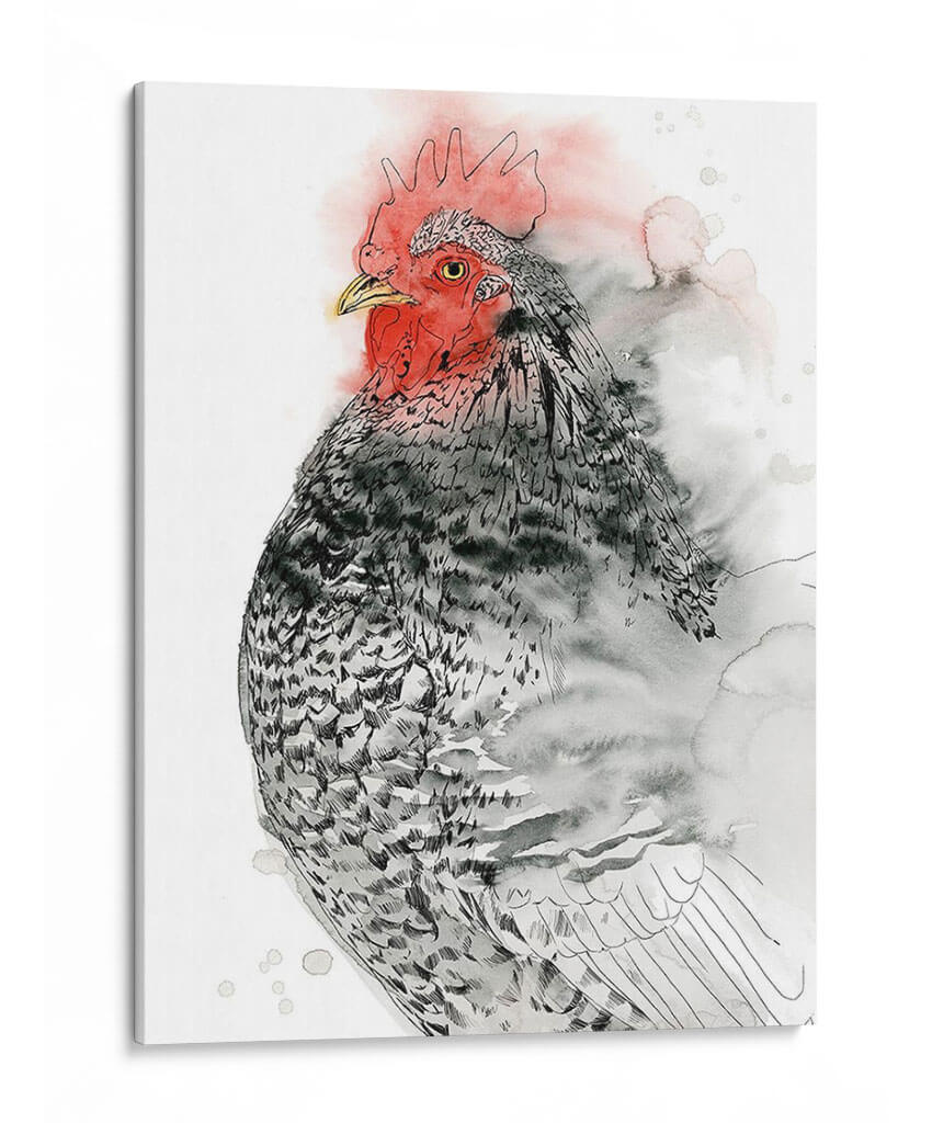 Gallo De Plymouth I - Grace Popp | Cuadro decorativo de Canvas Lab