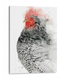 Gallo De Plymouth I - Grace Popp | Cuadro decorativo de Canvas Lab
