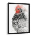 Gallo De Plymouth I - Grace Popp | Cuadro decorativo de Canvas Lab