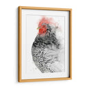Gallo De Plymouth I - Grace Popp | Cuadro decorativo de Canvas Lab