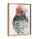 Gallo De Plymouth I - Grace Popp | Cuadro decorativo de Canvas Lab