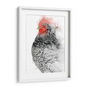 Gallo De Plymouth I - Grace Popp | Cuadro decorativo de Canvas Lab