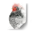 Gallo De Plymouth I - Grace Popp | Cuadro decorativo de Canvas Lab
