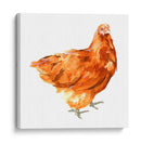 Pollo Salvaje I - Emma Scarvey | Cuadro decorativo de Canvas Lab