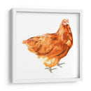 Pollo Salvaje I - Emma Scarvey | Cuadro decorativo de Canvas Lab