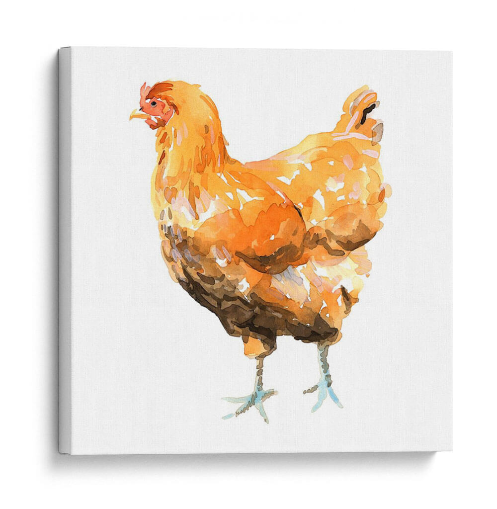 Pollo Salvaje Ii - Emma Scarvey | Cuadro decorativo de Canvas Lab