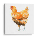 Pollo Salvaje Ii - Emma Scarvey | Cuadro decorativo de Canvas Lab