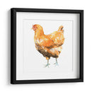 Pollo Salvaje Ii - Emma Scarvey | Cuadro decorativo de Canvas Lab